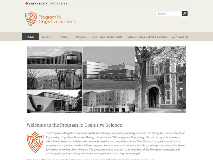 Program in Cognitive Science